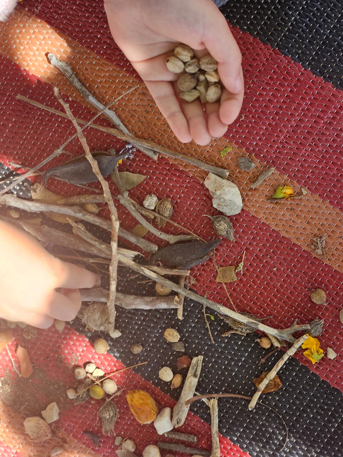 צמחי מרפא יבשים בצנצנות